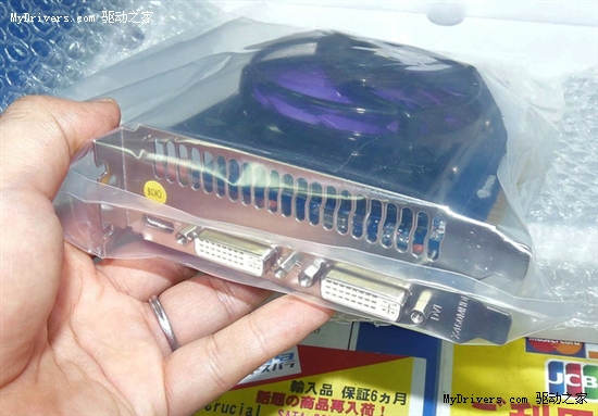 GeForce GTS 450第一时间集体上市