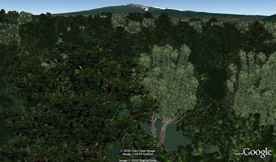 Google Earth第六版整合街景 新增3D树木