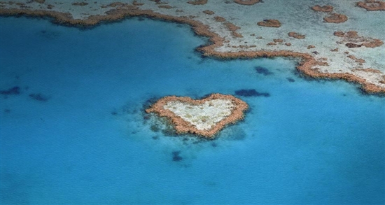Bing今日首页：心形“情人岛”