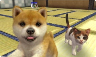 3DS首发游戏评分：《任天狗+猫》最高
