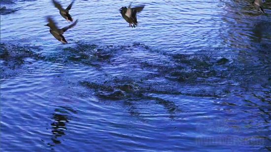 SNB掀起的腥风血雨:集成显卡大乱斗