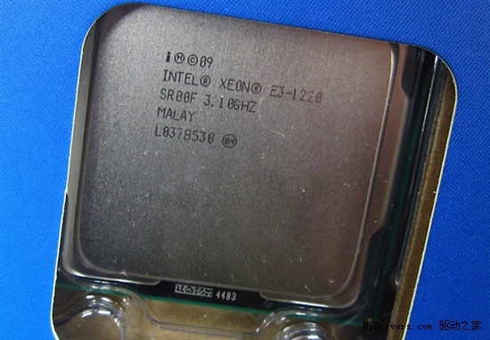 GPU没了：Sandy Bridge单路Xeon批量上市