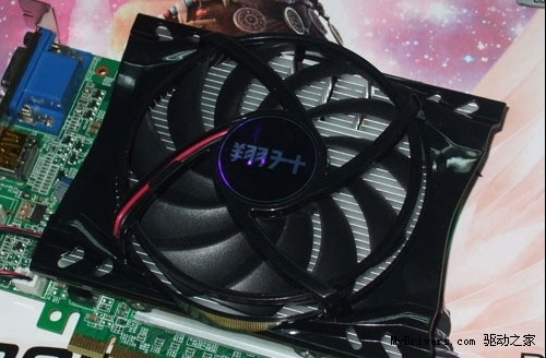 HD6570抢摊登陆 5大入门DX11显卡导购