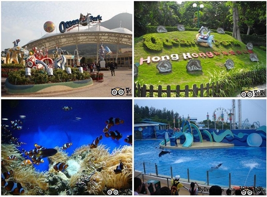 到到网推荐十大亲子乐享假期胜地