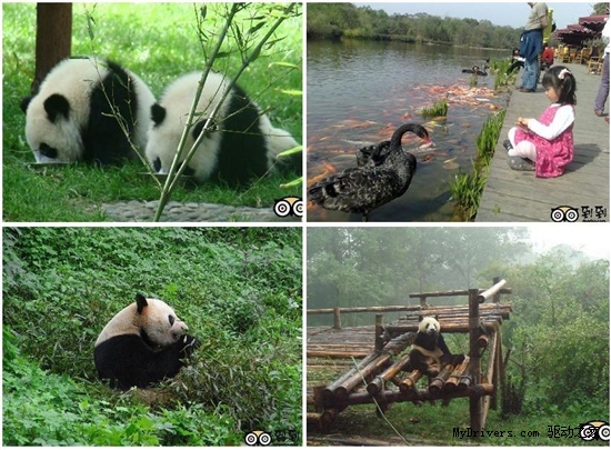 到到网推荐十大亲子乐享假期胜地