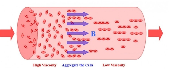研究发现强磁场可减少血液粘度