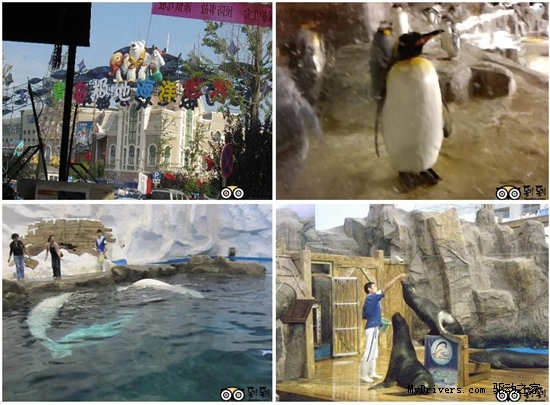 到到网推荐十大毕业旅行人气佳地