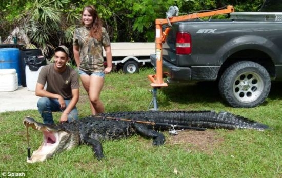美国青年用钓竿捕捉4米多长362公斤重鳄鱼