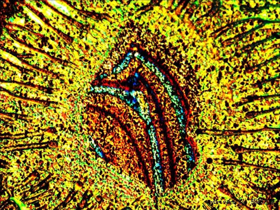 科学艺术佳作：硫化砷溶解似美丽焰火