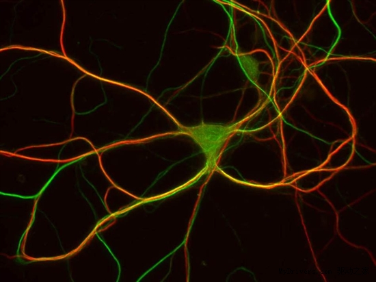 科学艺术佳作：硫化砷溶解似美丽焰火