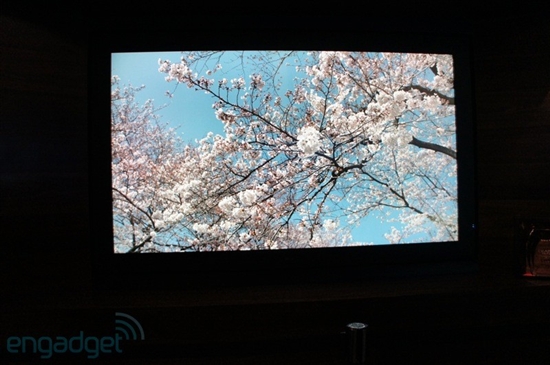 震惊CES 夏普8K超高分辨率液晶屏展示