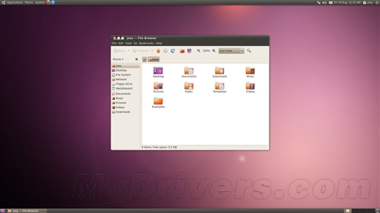 ְ֧汾Ubuntu 10.04ӭһ