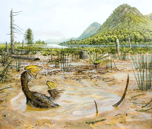 穿越5亿年又如何！