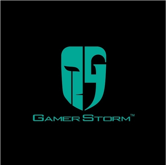 阿萨辛设计师E哥献力珍藏版诠释GAMER STORM品牌定义