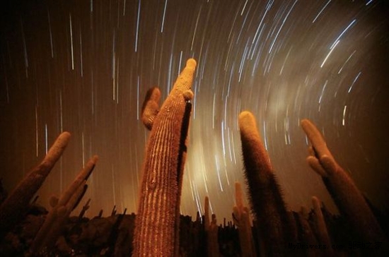 一周太空图片精选：巨型仙人掌触碰星空