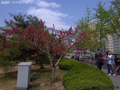 1499元的双核手机 天语W806评测