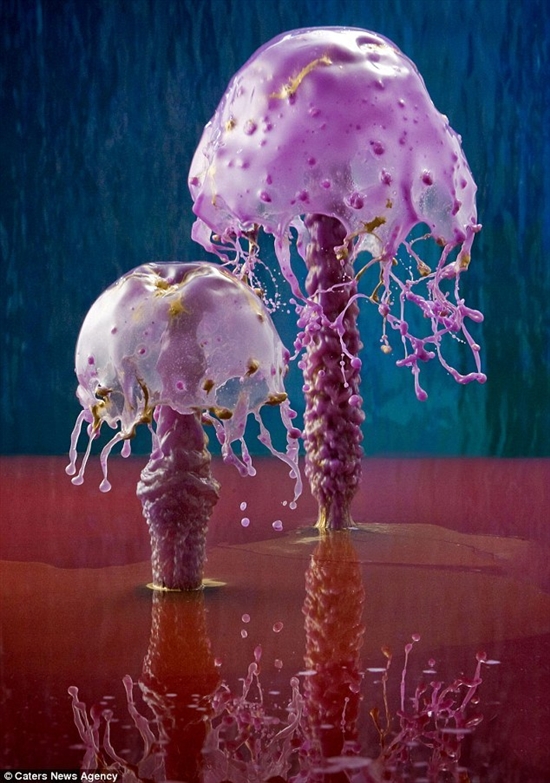 绚烂的“蘑菇”:高速摄影捕捉水花悬空瞬间