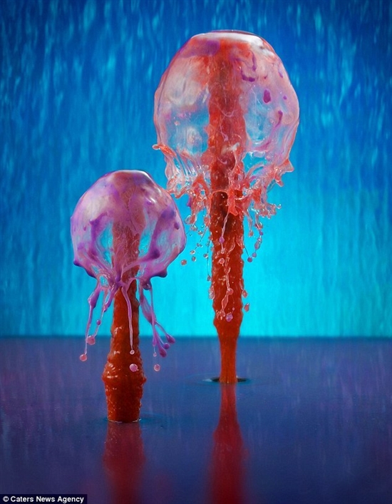 绚烂的“蘑菇”:高速摄影捕捉水花悬空瞬间