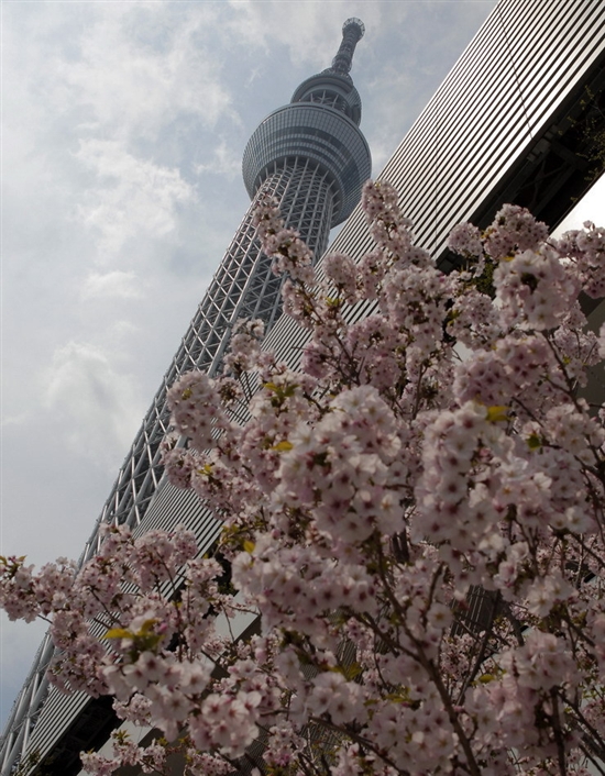 世界最高电视塔“东京天空树”公开观光景点