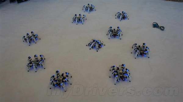 Intel IDFʢ磺֩롰Ⱥħ衱