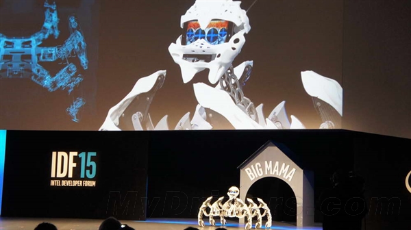 Intel IDFʢ磺֩롰Ⱥħ衱