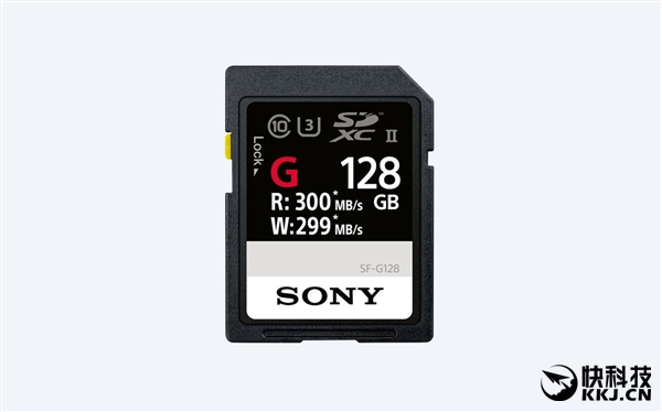 SSDᷢSDSF-GϵУд299MB/s