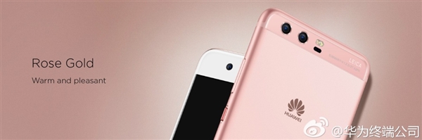 ǰָ ΪP10/Plusʽ࣡ԭ