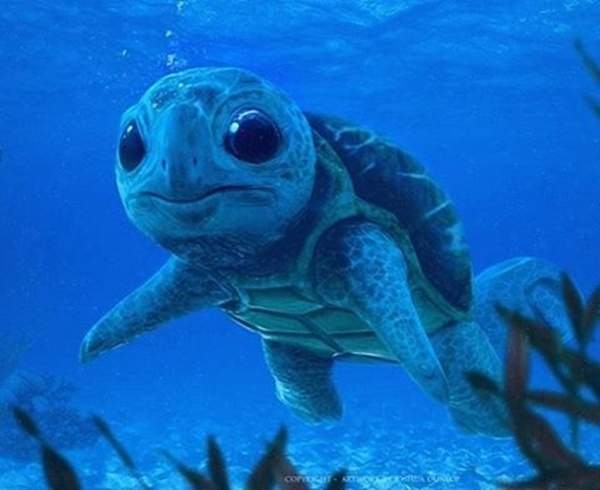 ��ʵ�汦���ξ��鳤�����ӣ�������ج��