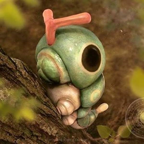 ��ʵ�汦���ξ��鳤�����ӣ�������ج��