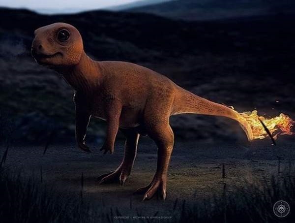 ��ʵ�汦���ξ��鳤�����ӣ�������ج��