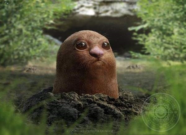 ��ʵ�汦���ξ��鳤�����ӣ�������ج��