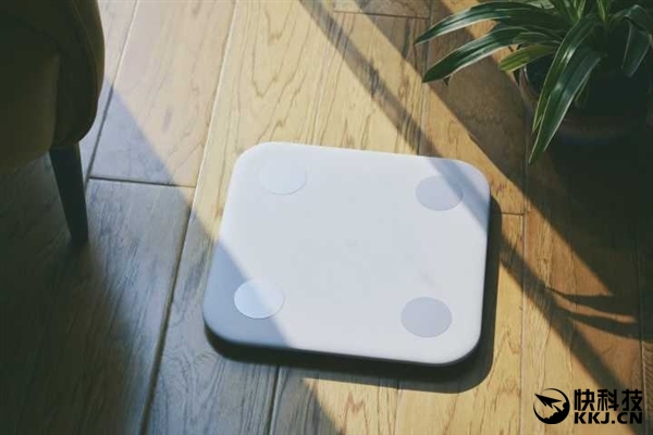 199Ԫ С����֬�ӿ��� ��������