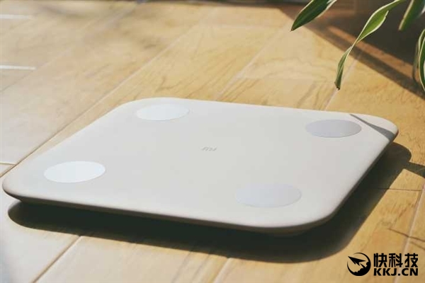 199Ԫ С����֬�ӿ��� ��������