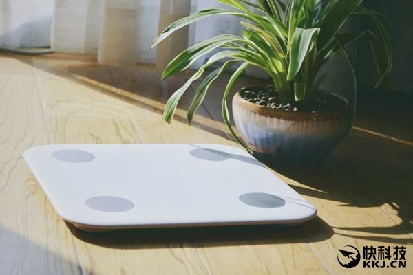 199Ԫ С����֬�ӿ��� ��������