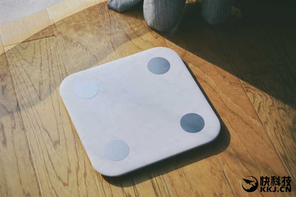 199Ԫ С����֬�ӿ��� ��������