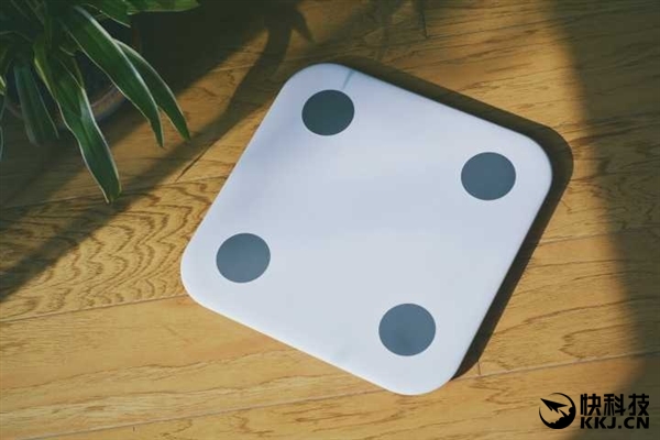 199Ԫ С����֬�ӿ��� ��������