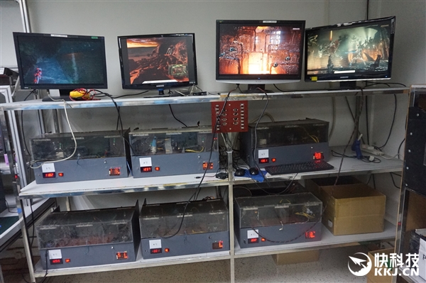 ��̩�����У������е��Կ�����������������