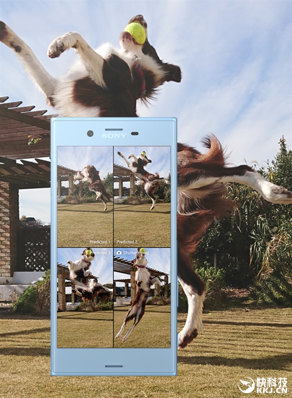 ��ҵ��ƽ̿��飡4699Ԫ����XZs�й���������������