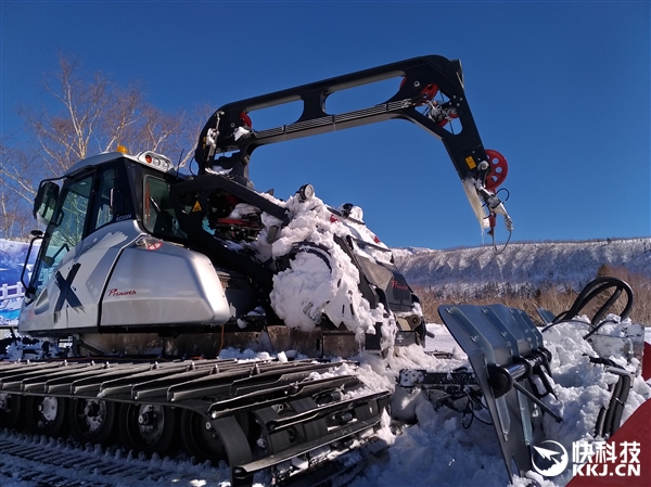 ˫㣫䣡˶ӥ3ٷͼͣŮ