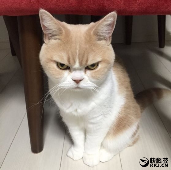 Windows 10ͻعBugϵͳױϣ