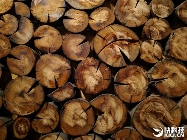 ˫㣫䣡˶ӥ3ٷͼͣŮ