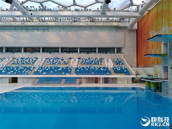 ˫㣫䣡˶ӥ3ٷͼͣŮ