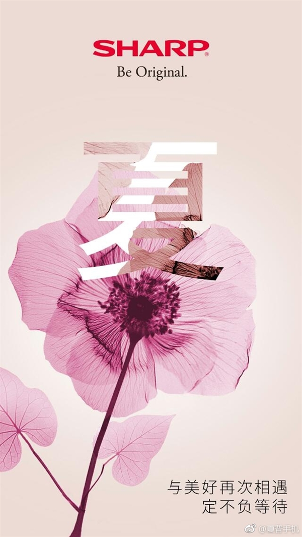 �ذ��������ֻ���ʽ�ع��й�������