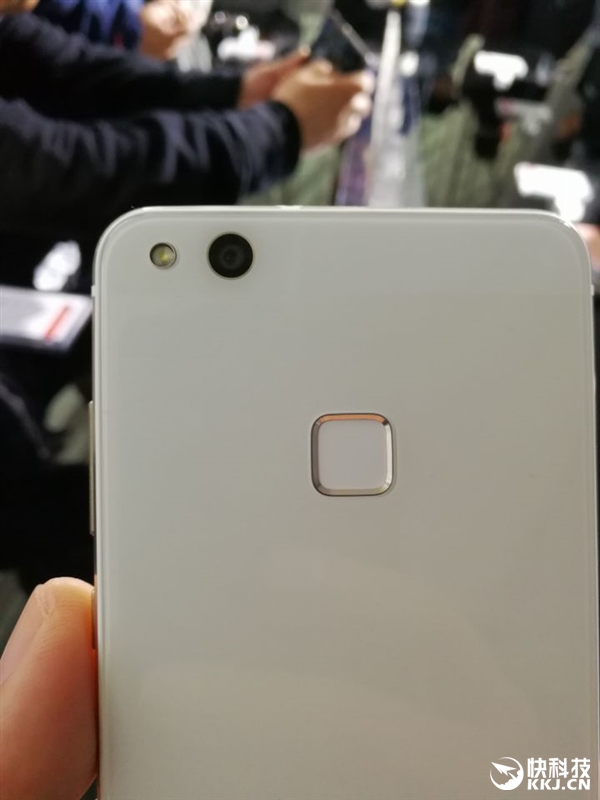 Ϊnovaഺֳͼͣ1999Ԫ