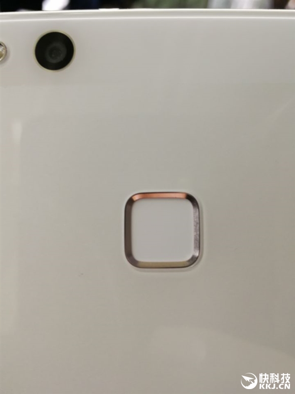 Ϊnovaഺֳͼͣ1999Ԫ