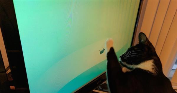 Linux����Xfce�����񼶡�Bug�����������˺�