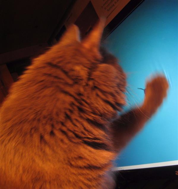 Linux����Xfce�����񼶡�Bug�����������˺�