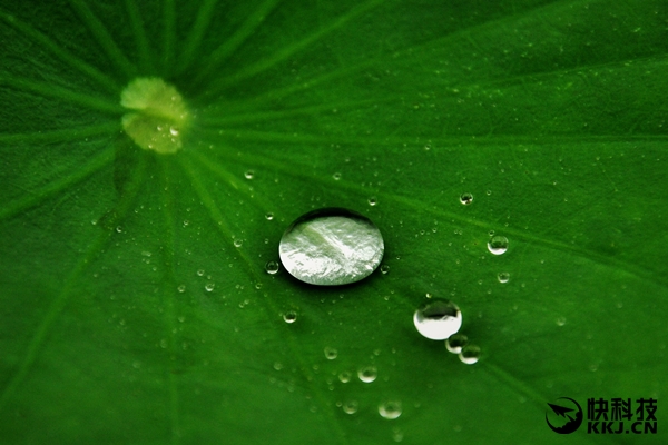 ��ΪP10��Ļ��û�е����Ͳ㵽����ʲô��