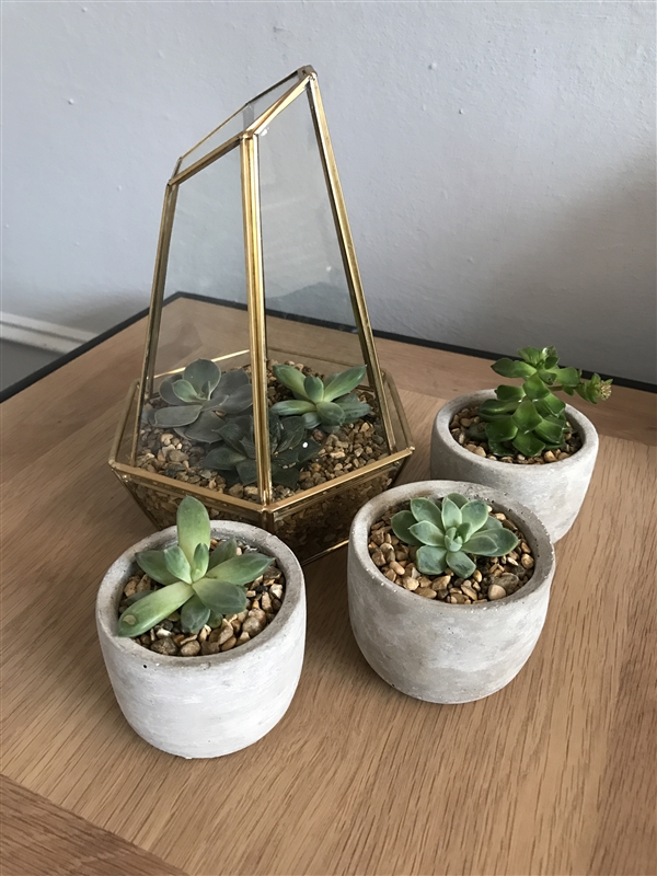 ����S8���նԱ�iPhone 7�����޺���ʵ��ѡ˭��