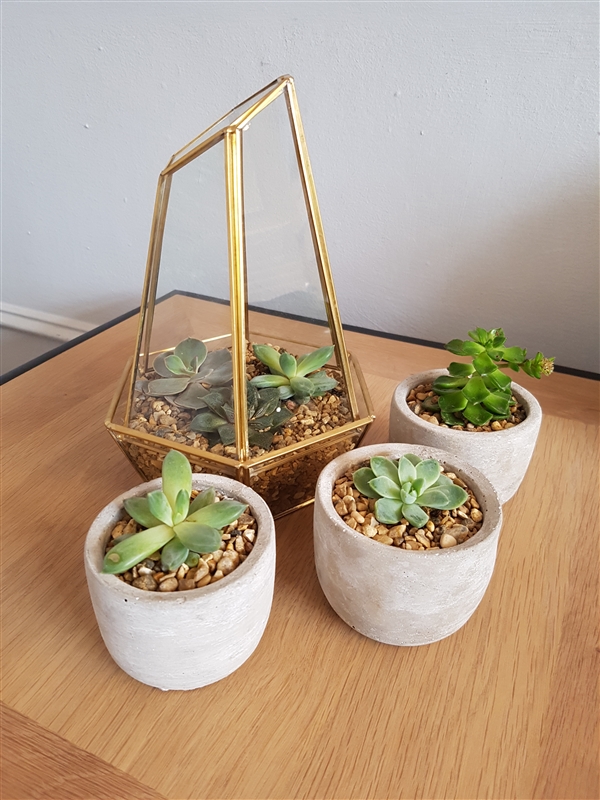 ����S8���նԱ�iPhone 7�����޺���ʵ��ѡ˭��